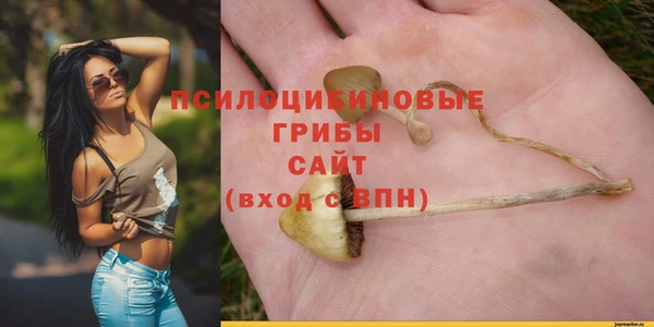 бошки Кукмор